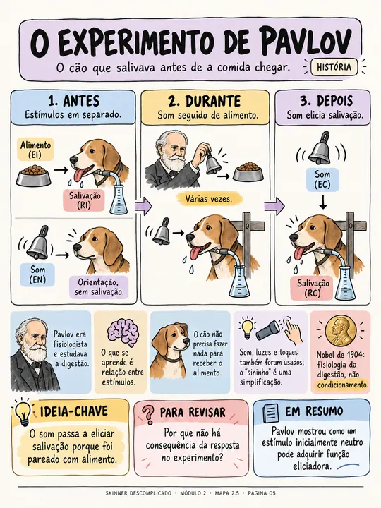 Mapa visual: o experimento de Pavlov