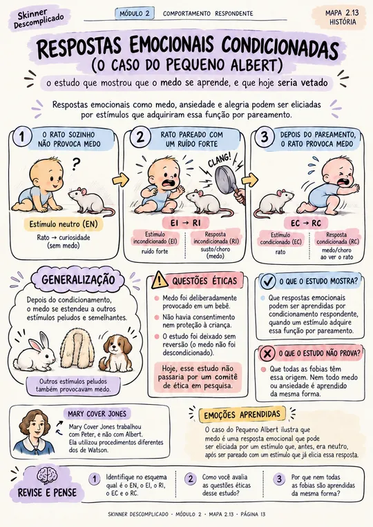 Mapa visual: respostas emocionais condicionadas (o caso do pequeno Albert)