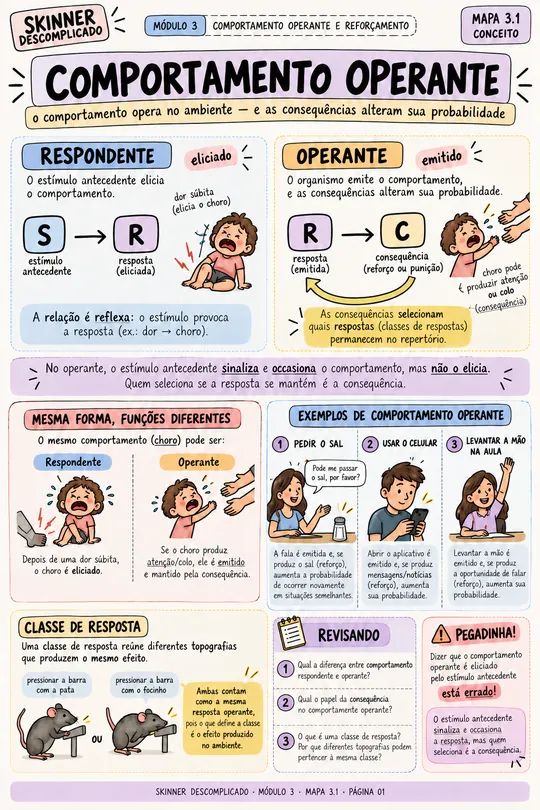 Mapa visual: comportamento operante