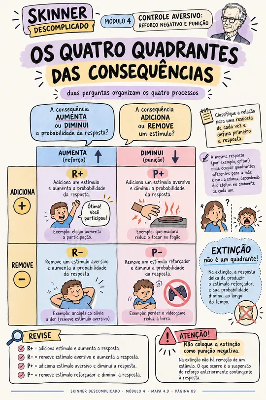 Mapa visual: os quatro quadrantes das consequências