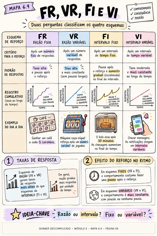 Mapa visual: FR, VR, FI e VI lado a lado